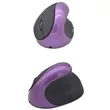 Ergonomic Vertical Wireless Mouse | https://www.bestnamebadges.com