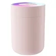 Portable LED Atmosphere Lamp Humidifier For Home Car | https://www.bestnamebadges.com