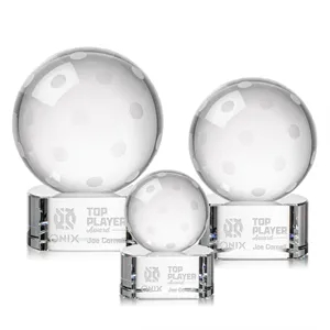 Pickleball Award on Paragon Base | https://www.bestnamebadges.com