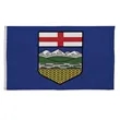 3' x 5' International Flag | https://www.bestnamebadges.com