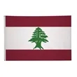 4' x 6' International Flag | https://www.bestnamebadges.com