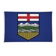 5' x 8' International Flag | https://www.bestnamebadges.com