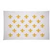 5' x 8' Historical Flags | https://www.bestnamebadges.com