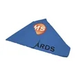 10' Tent Canopy (Full-Color Imprint, 2 Locations) | https://www.bestnamebadges.com