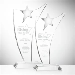 Atkinson Chrome Star Award | https://www.bestnamebadges.com
