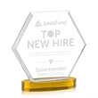 Barnett Award on Alberton Base - Amber | https://www.bestnamebadges.com