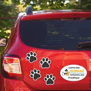 2-in-1-Oval-Car-Magnet-with-4-Paw-Prints