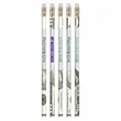 Union Printed - Money Themed Assortment Pencils with 1-Color | https://www.bestnamebadges.com