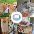 Adjustable Home Daily Storage Food Sealing Safety Clip | https://www.bestnamebadges.com