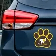 Paw Print Car Magnet 5.75 x 5.75 | https://www.bestnamebadges.com