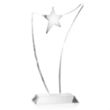 Atkinson Chrome Star VividPrint™ Award | https://www.bestnamebadges.com