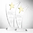 Atkinson Gold Star Award | https://www.bestnamebadges.com