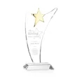 Atkinson Gold Star Award | https://www.bestnamebadges.com