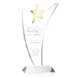 Atkinson Gold Star Award | https://www.bestnamebadges.com