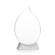 Carmack VividPrint™ Award | https://www.bestnamebadges.com