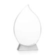 Carmack VividPrint™ Award | https://www.bestnamebadges.com