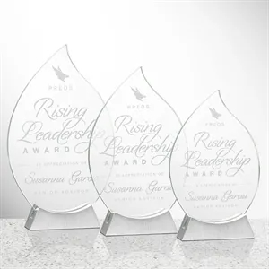 Carmack Award | https://www.bestnamebadges.com