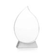 Carmack Award | https://www.bestnamebadges.com