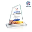 Summit VividPrint™ Award | https://www.bestnamebadges.com