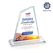 Summit VividPrint™ Award | https://www.bestnamebadges.com