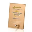 Atchison Russet Rectangle VividPrint™ Award - Silver | https://www.bestnamebadges.com