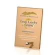 Atchison Russet Rectangle VividPrint™ Award - Silver | https://www.bestnamebadges.com