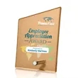 Atchison Russet Slant VividPrint™ Award - Silver | https://www.bestnamebadges.com