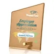 Atchison Russet Slant VividPrint™ Award - Gold | https://www.bestnamebadges.com