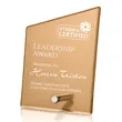 Atchison Russet Slant Award - Silver | https://www.bestnamebadges.com