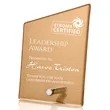 Atchison Russet Slant Award - Silver | https://www.bestnamebadges.com