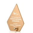 Atchison Russet Diamond Award - Silver | https://www.bestnamebadges.com