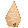 Atchison Russet Diamond Award - Silver | https://www.bestnamebadges.com