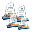 Summit VividPrint™ Award - Sky Blue | https://www.bestnamebadges.com