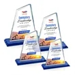 Summit VividPrint™ Award - Blue | https://www.bestnamebadges.com
