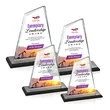 Summit VividPrint™ Award - Black | https://www.bestnamebadges.com