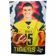 36" x 60" Sublimated Spirit Flag | https://www.bestnamebadges.com