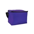 Budget 6-Pack Cooler Bag | https://www.bestnamebadges.com