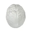 Brain Shape Stress Ball | https://www.bestnamebadges.com