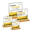 Sahara VividPrint™ Award - Amber | https://www.bestnamebadges.com