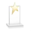 Bryanston Gold Star Award - White | https://www.bestnamebadges.com