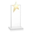 Bryanston Gold Star Award - White | https://www.bestnamebadges.com