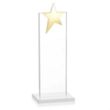 Bryanston Gold Star Award - White | https://www.bestnamebadges.com