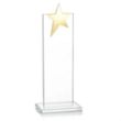 Bryanston Gold Star Award - Clear | https://www.bestnamebadges.com
