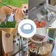 Reusable Plastic Food Sealing Bag Clip | https://www.bestnamebadges.com