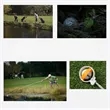 Golf Ball Retriever Stainless Steel | https://www.bestnamebadges.com