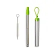 Festival Telescopic Reusable Drinking Straw Kit | https://www.bestnamebadges.com