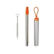Festival Telescopic Reusable Drinking Straw Kit | https://www.bestnamebadges.com