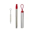 Festival Telescopic Reusable Drinking Straw Kit | https://www.bestnamebadges.com