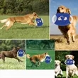 Cotton Ropes Dog Flying Discs | https://www.bestnamebadges.com