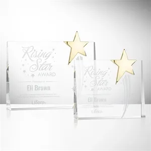 Bradenton Gold Star Award | https://www.bestnamebadges.com